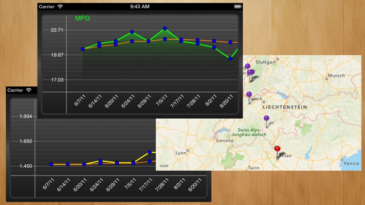 myFuelLog Lite screenshot-4