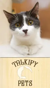 Talkify Pets screenshot #1 for iPhone