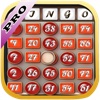 Bingo Casino Club PRO - Spin to Win Big