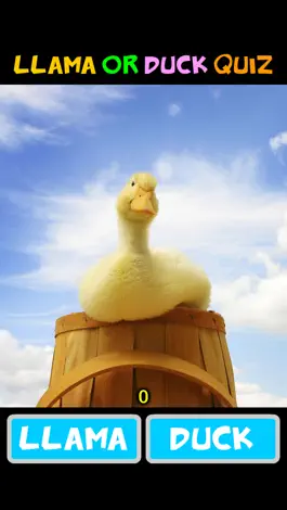 Game screenshot Llama or Duck apk