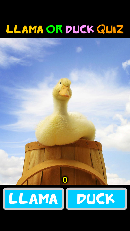 #2. Llama or Duck (iOS) 由: Yuan Ruan