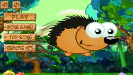 Game screenshot Hedgehog Dash Bounce mod apk