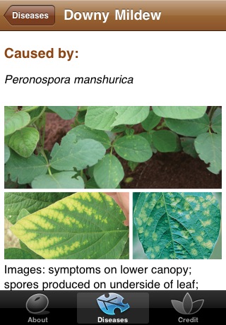 Soybean Diseases of SD screenshot 4