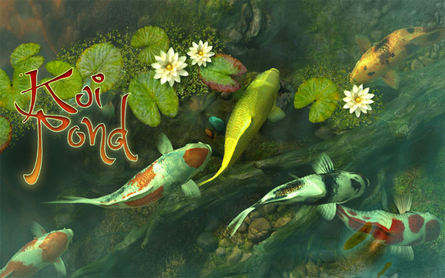 Koi Pond 3D(圖1)-速報App