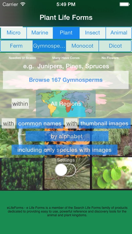 Life Forms of the World - A Comprehensive Life Form App