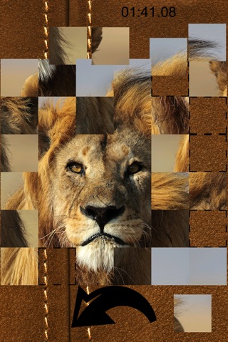 PuzzleMania - Safari Pics screenshot 3