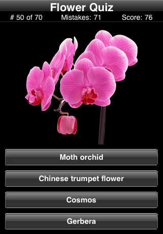 A Flower Quiz screenshot 2