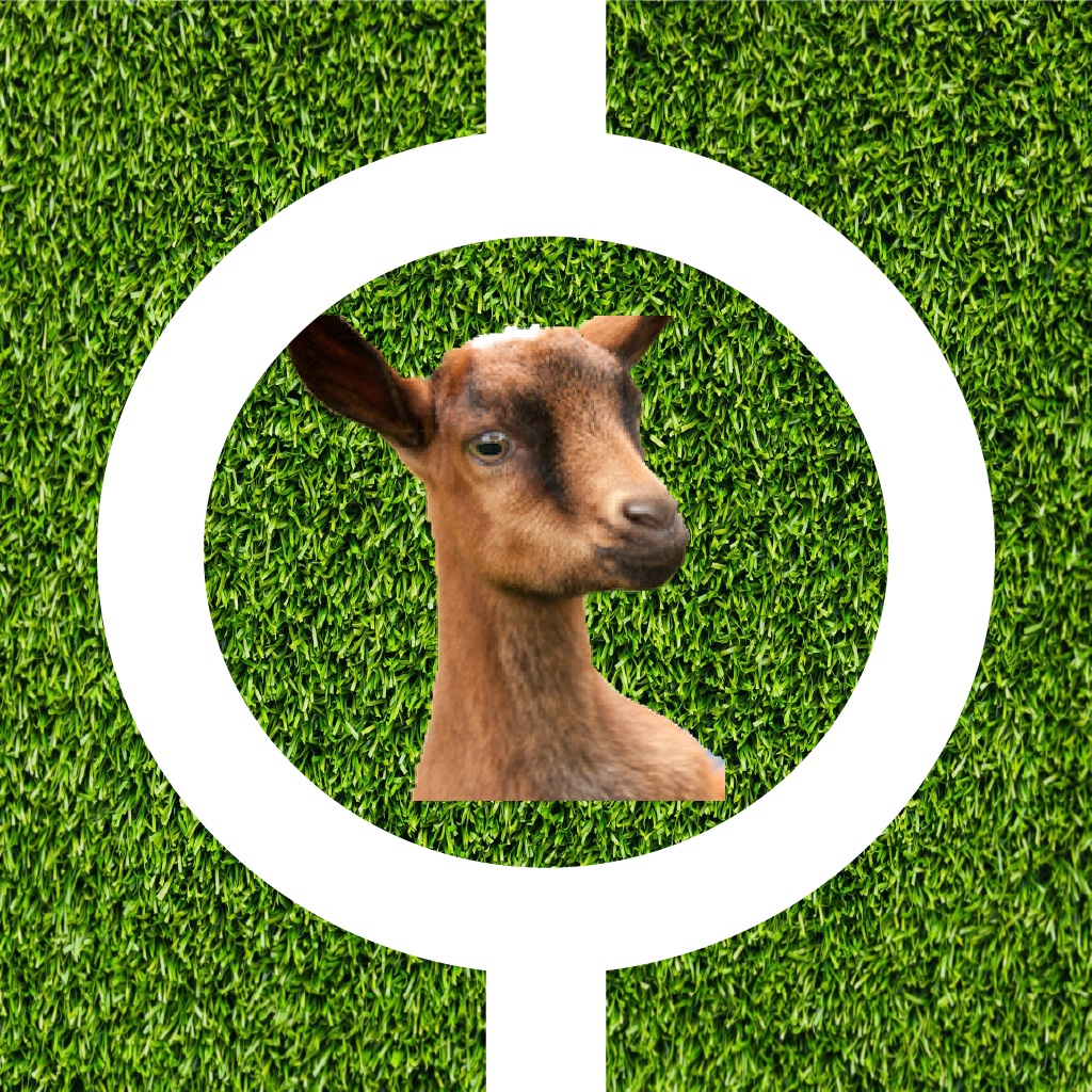 Buttermilk Stay in the Grass Line icon