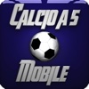 Calcio a 5 3D