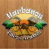 Harbanos Tacos Arabes