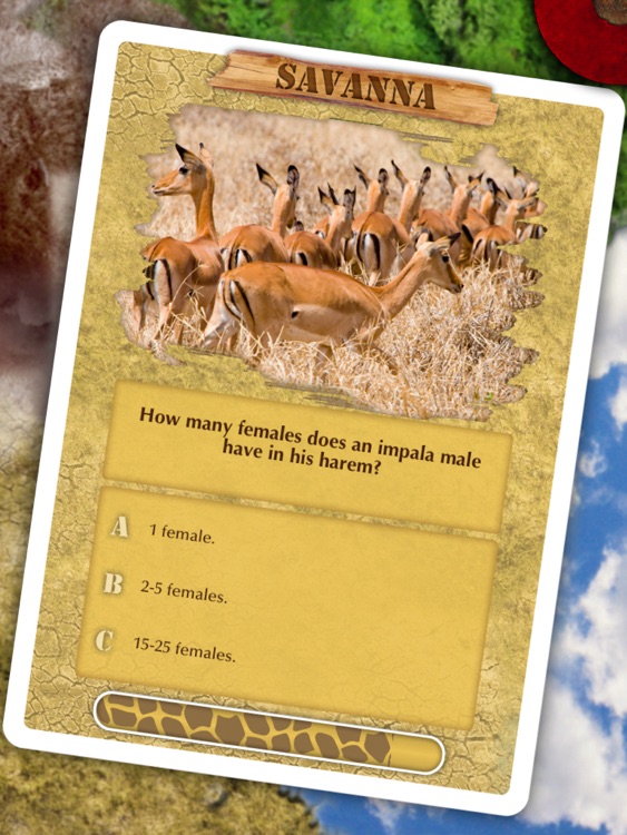 BoardGameChanger: Game Board for iPad