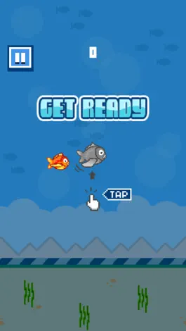 Game screenshot Little Flipper Fall- The Adventure of a Tiny, Flappy, Flying, Bird Fish with Splashy Birds Wings apk