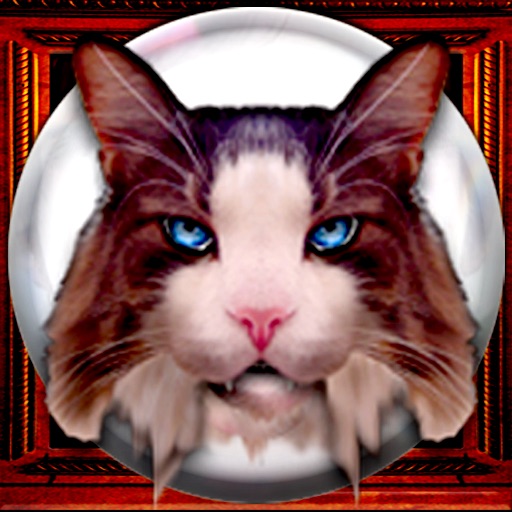 Dave's Crystal Ball icon