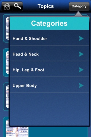 Artery System: CardioVascular screenshot 2