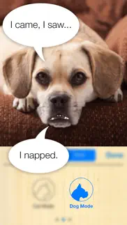 talkify pets iphone screenshot 4