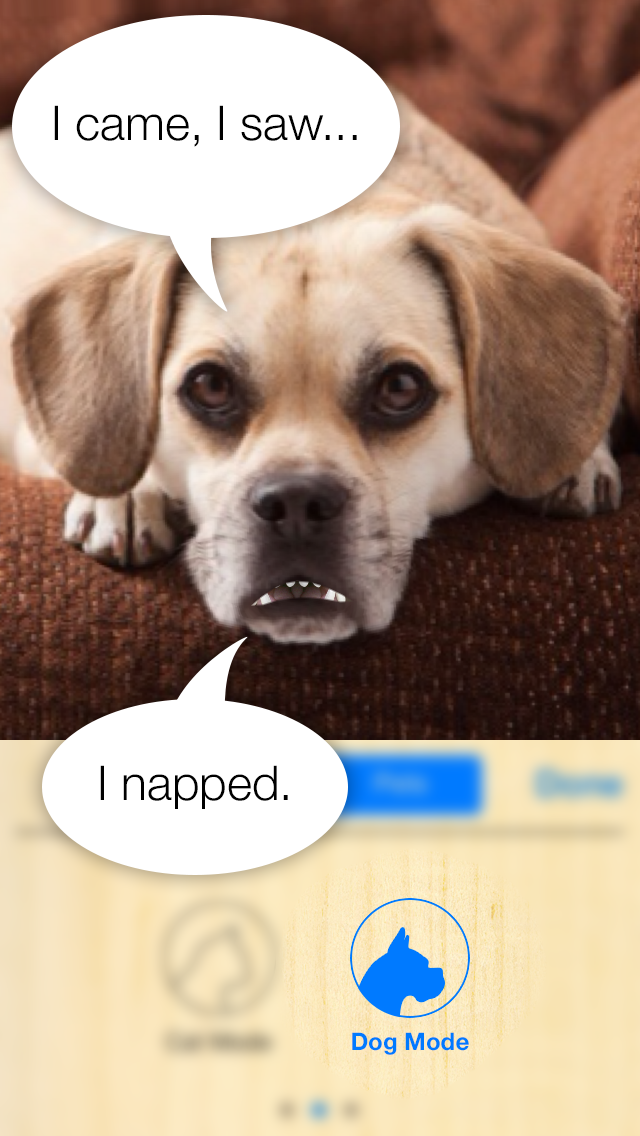 Talkify Pets Screenshot