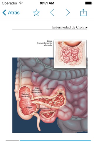 Miniatlas Gastroenterology screenshot 4