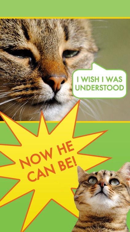 Cat Communicator - Meow Sounds Translator