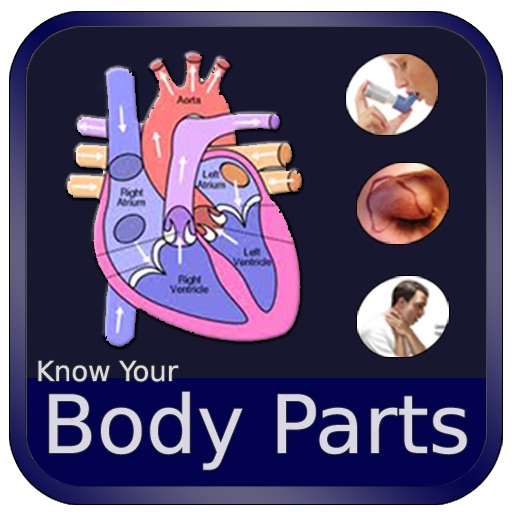 Body Parts and Functions icon