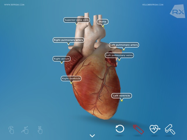 Heart Explore 3D(圖4)-速報App