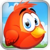 Cute Bird - A flying adventure