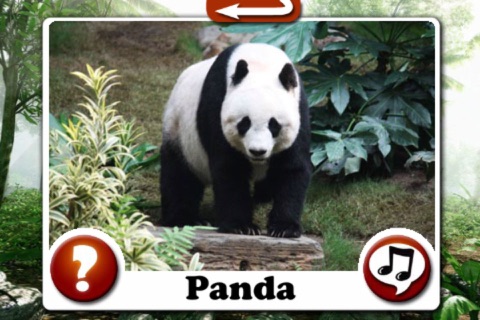 Planet Animal - Sounds and photo play book  for children screenshot 4
