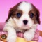 Beautiful HD Wallpaper collection for IPAD