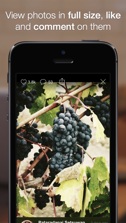 Colorbay: Photo Discovery, Redefined screenshot-3