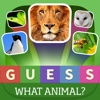 Guess what? Animal quiz - Popular Animals in the world