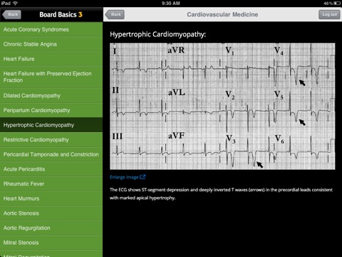 Board Basics 3 screenshot 4