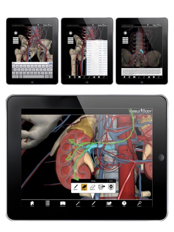 3D Heart & Circulatory Premium 2 screenshot 4