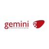 Gemini Wealth Tax Tools