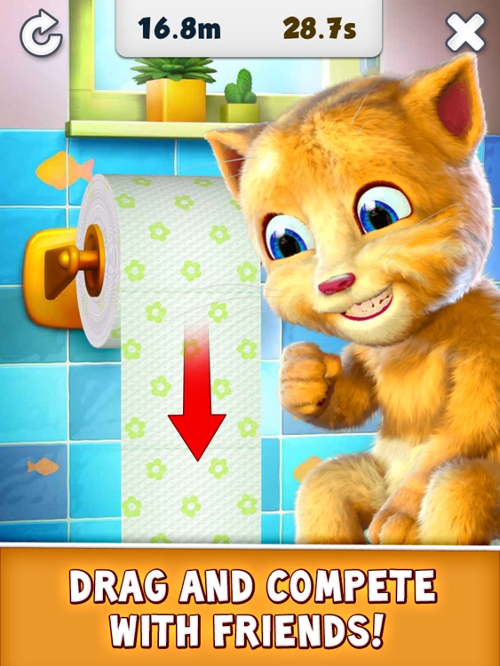 Talking Ginger for iPad