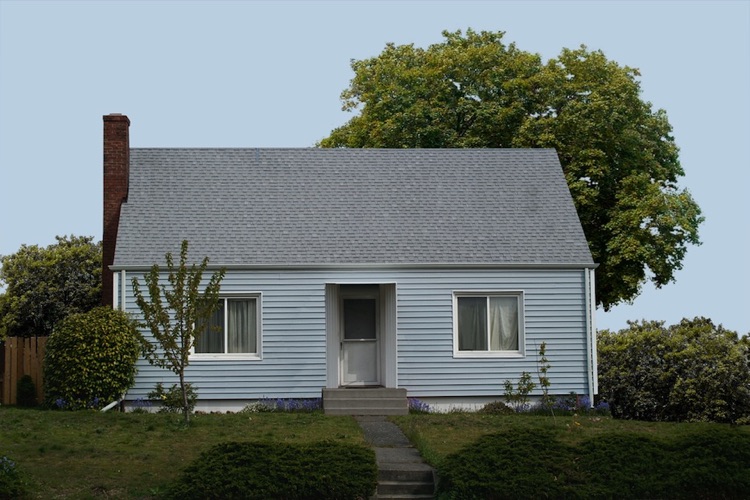 The What-If House