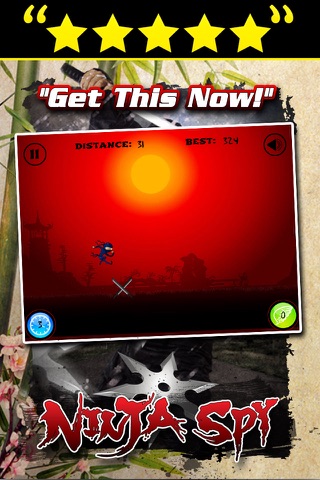 Ninja Spy screenshot 2