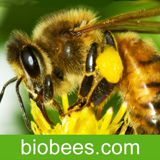 BioBees - The Barefoot Beekeper Talking About The Natural Approach To Beekeeping icon