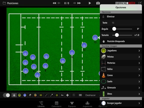 Efficiency Match Pro Rugby screenshot 2