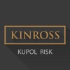 Kupol Risk Reporting