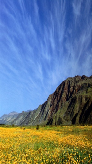 Relax with Tranzotica FREE(圖4)-速報App