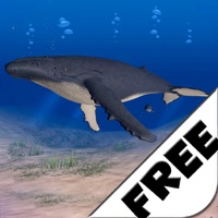 La Baleine à Bosse Free pour PC