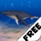 ★★★ Get the Full version of "Humpback Whale" for Free
