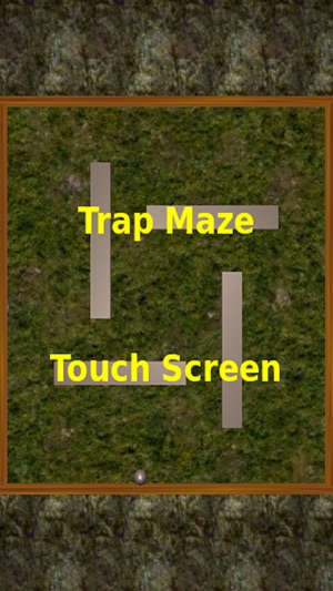 Trap Maze