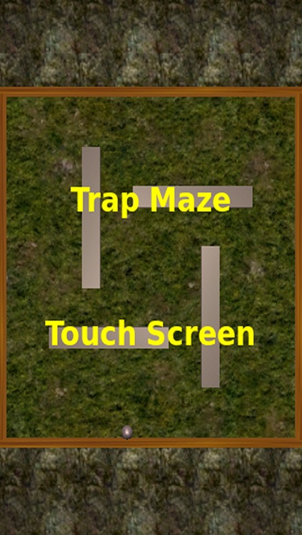 Trap Maze