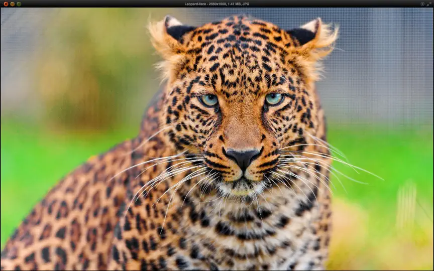 Captura de pantalla de Image Viewer Deluxe en iPhone 3