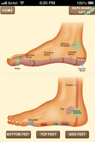 iPocket Foot Reflexology screenshot 4