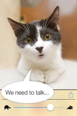 Game screenshot Talkify Pets apk