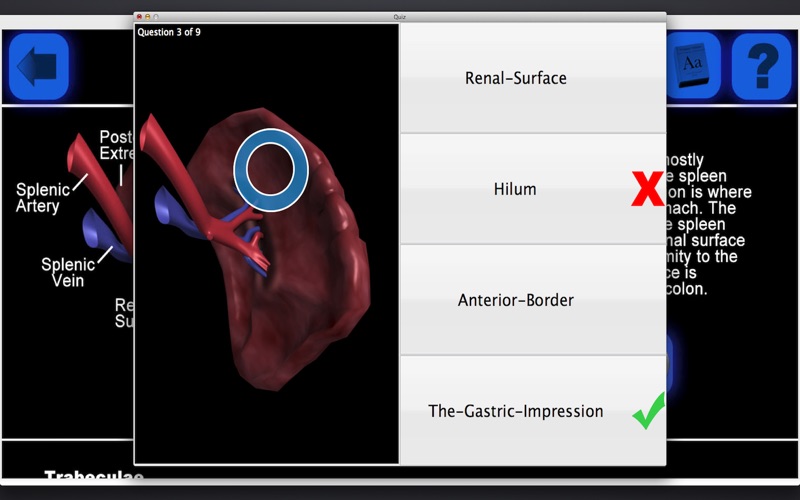 anatomy 3d organs iphone screenshot 3