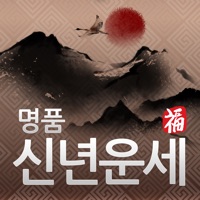 2013 명품 신년운세 – 정통 최신판 PC 용
