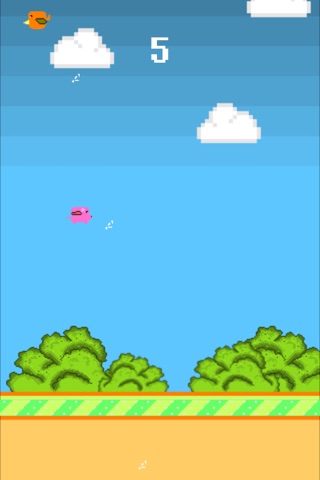 Piggy vs Birds screenshot 3