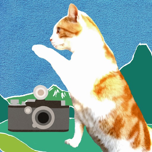 Enoshima Cat Camera icon